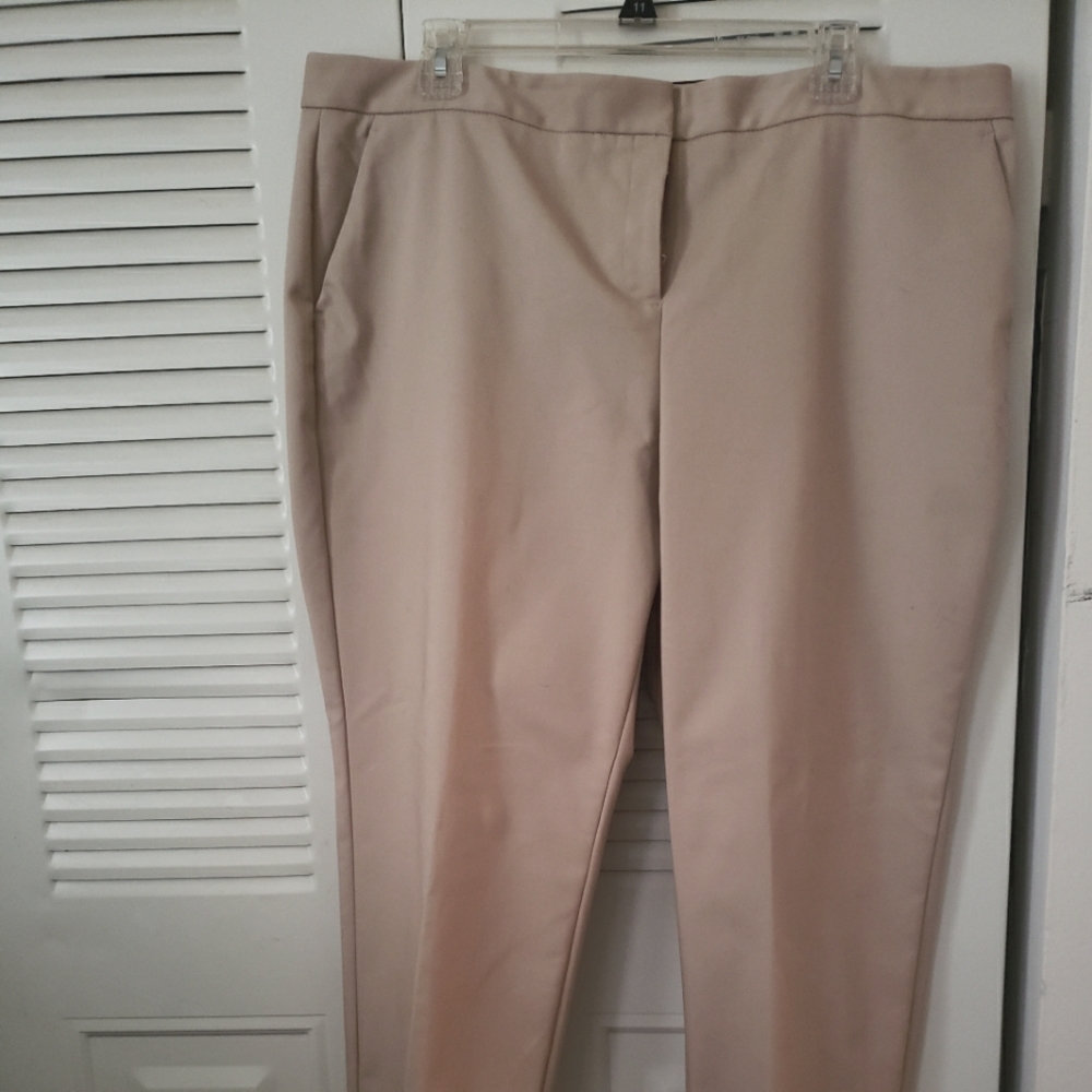 Size 16 Vince Camuto slacks